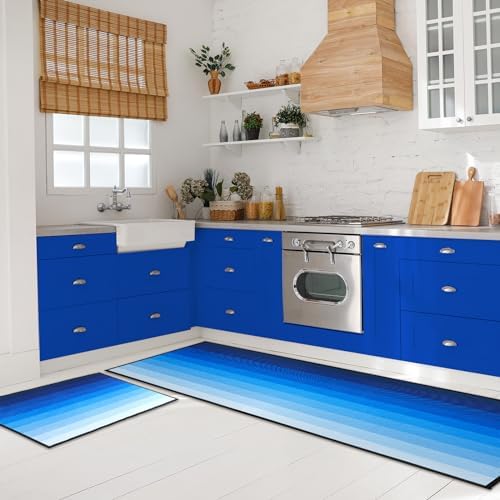 Drydiet 2 Pcs Kitchen Rugs and Mats Sets Front Door Mat Absorbent Outdoor Rug Non Slip Indoor Entryway Waterproof Doormats for Outside Inside Porch Floor Welcome Mat for Home Kitchen Bathroom (Blue)