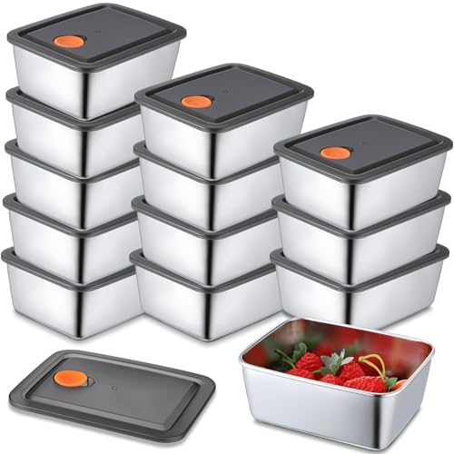 Layhit 10 Pcs 20 oz 304 Stainless Steel Food Containers Stainless Steel Snack Containers for Kids Leak Proof Metal Food Storage Containers with Airtight Lids Lunch Bento Box for Daycare and School