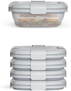 STOJO Collapsible Sandwich Box 5 Set- Translucent Cashmere, 24oz - Reusable Food Storage Container - To-Go Travel Silicone Bowl for Hot and Cold Food - for Meal Prep, Lunch, Camping and Hiking