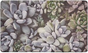 Chef Gear - Anti-Fatigue Gelness Kitchen Mat, Blossom Succulents Design, Cushioned Comfort Chef Mat, Memory Foam & Skid-Resistant, 18" x 30"