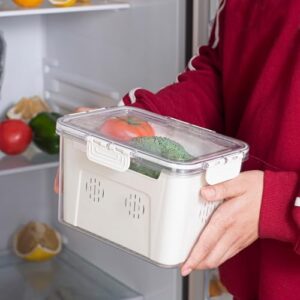 Dingerjar Fridge Organizer with Lids, Stackable Refrigerator Organizer Bins, Removable Containers for Food and Storage, for Beverages, Fruit, Vegetables