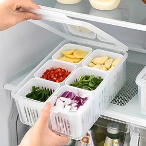 Food Storage Containers with Lids Airtight, Scallion Preservation Box Fridge Fresh-Keeping Container, 6 Grids Draining Crisper Portable Divided Fruit Storage Container Ginger Storage Basket for