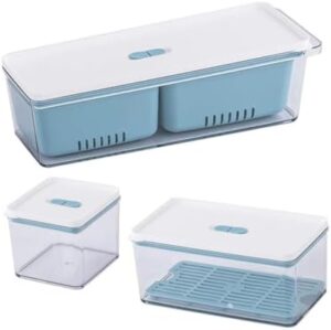 HAKIDZEL 3pcs Box Food Storage Box Plastic Fruit Clear Plastic Organizer Bins Vacuum Container Vegetable Container Food Storage Organizer Plastic Bins for Fridge Drainage Container Product