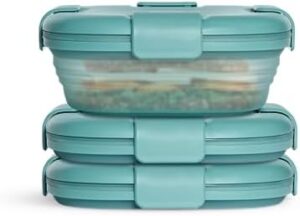 STOJO Collapsible Sandwich Box 3 Set- Translucent Eucalyptus, 24oz - Reusable Food Storage Container - To-Go Travel Silicone Bowl for Hot and Cold Food - for Meal Prep, Lunch, Camping and Hiking