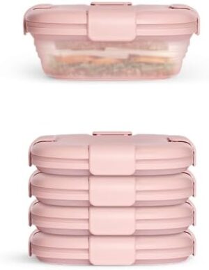 STOJO Collapsible Sandwich Box 5 Set- Translucent Carnation, 24oz - Reusable Food Storage Container - To-Go Travel Silicone Bowl for Hot and Cold Food - for Meal Prep, Lunch, Camping and Hiking