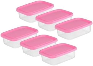 SHOWERORO 1 Set 6 Pcs Fresh Storage Lunch Box Storage Organizer Fruit Storage Container Kitchen Containers Sealed Containers for Food Storage Box Plastic Pink Vegetable